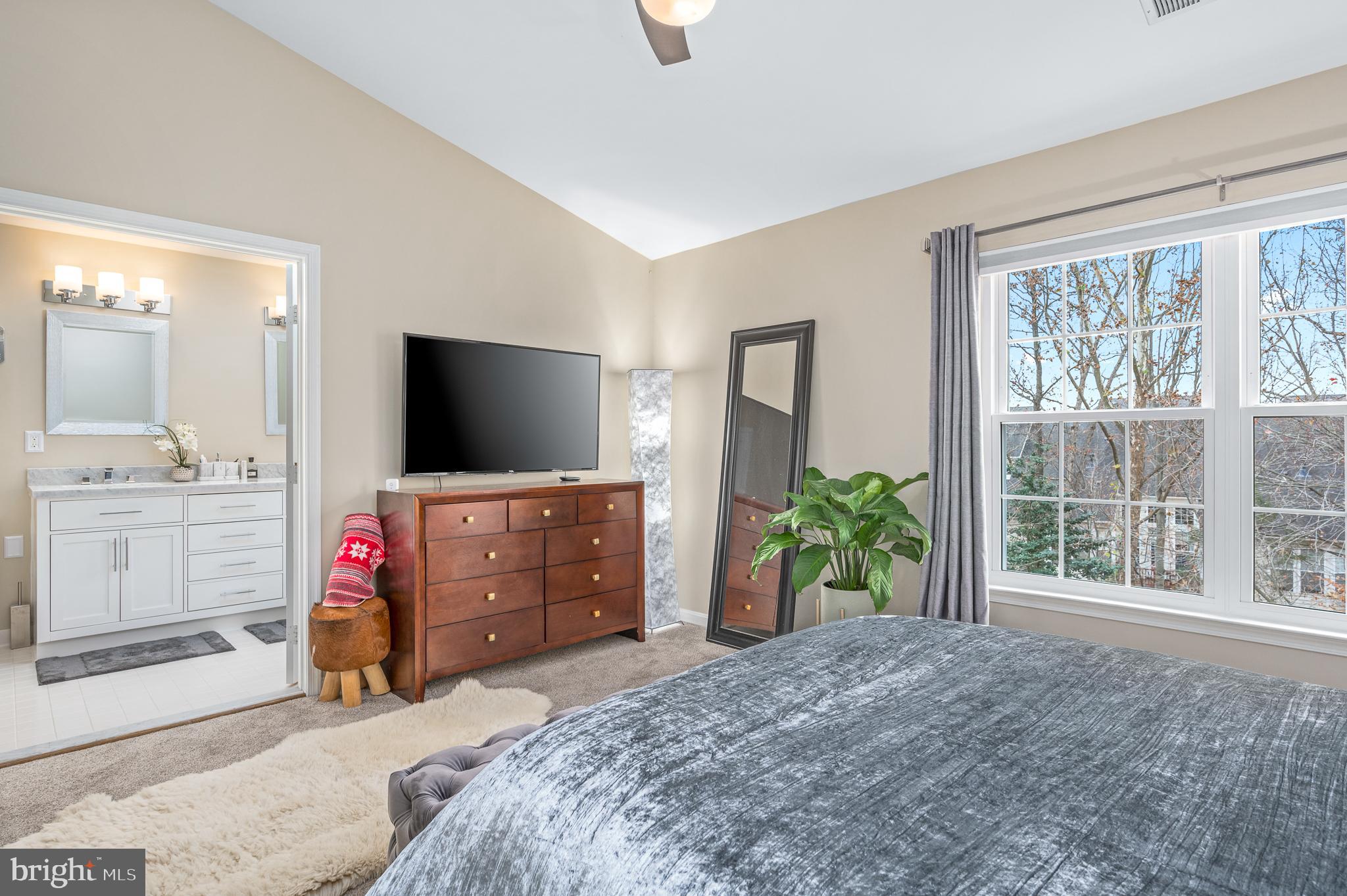 47527 Sharpskin Island Sq