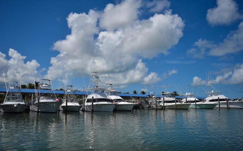 501 E Ocean Drive Unit: 17