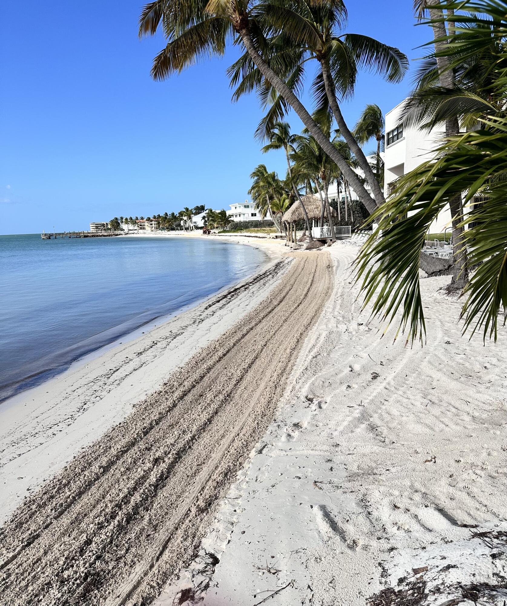 601 W Ocean Drive Unit: 411C