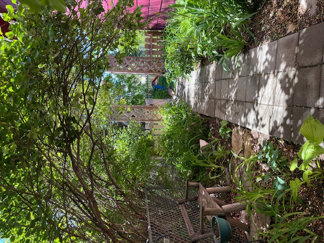 611 Park Garden Road