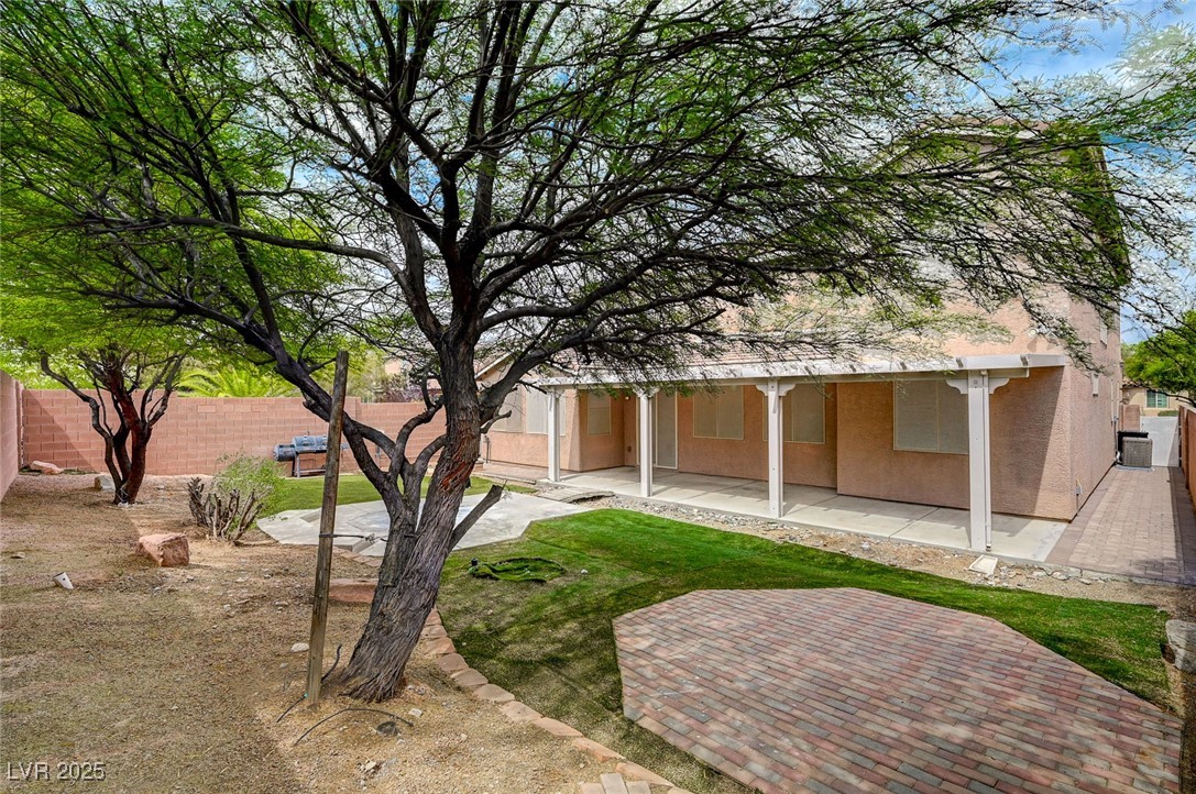 7605 Tiny Tortoise Street