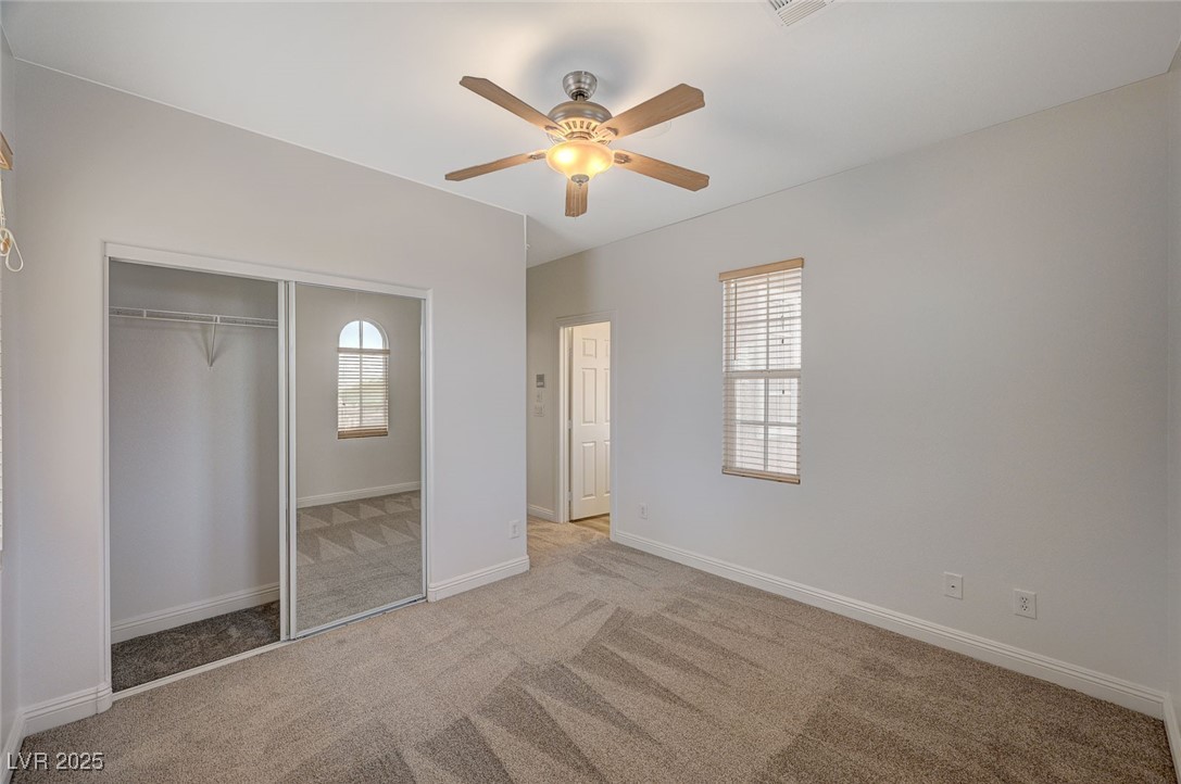 7605 Tiny Tortoise Street
