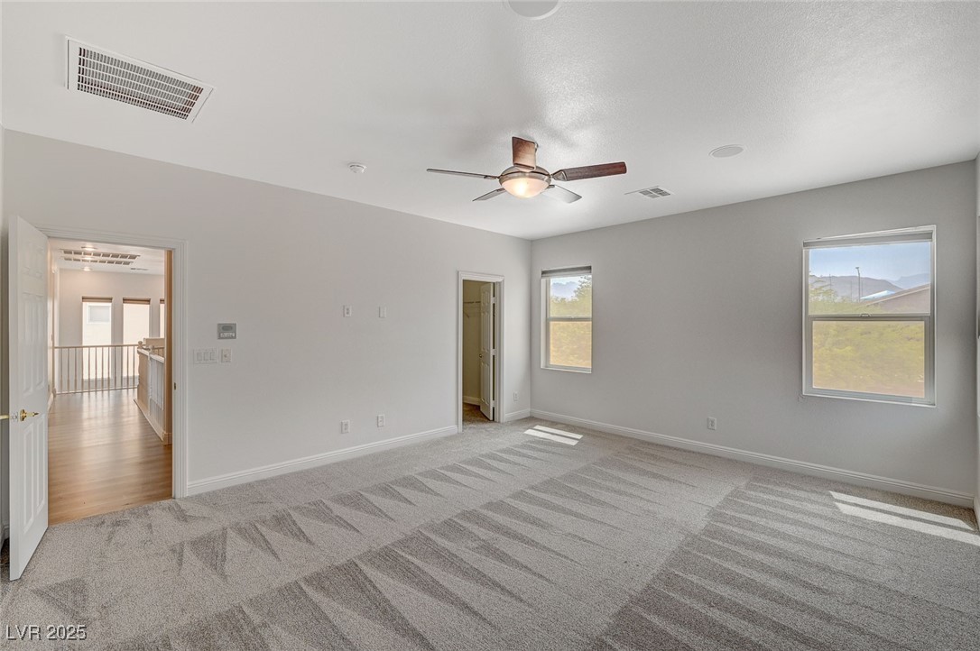 7605 Tiny Tortoise Street
