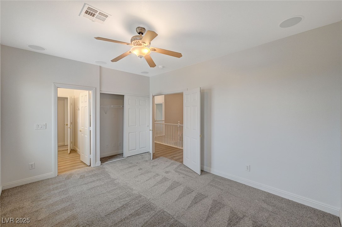 7605 Tiny Tortoise Street
