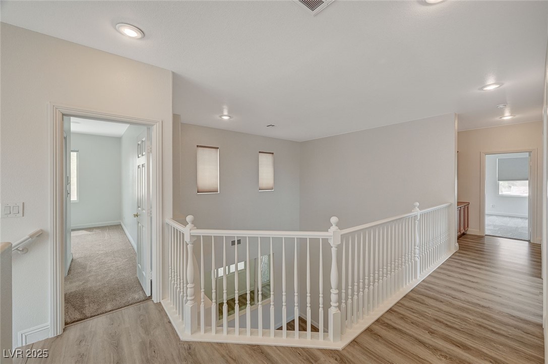 7605 Tiny Tortoise Street