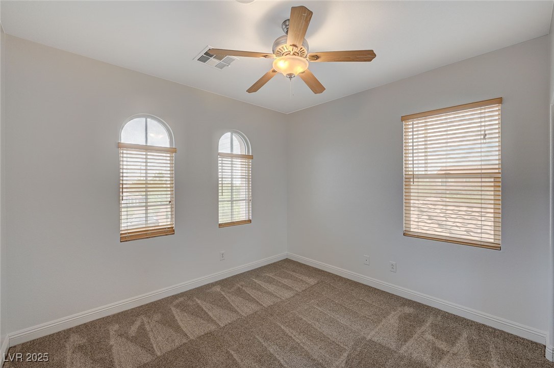 7605 Tiny Tortoise Street