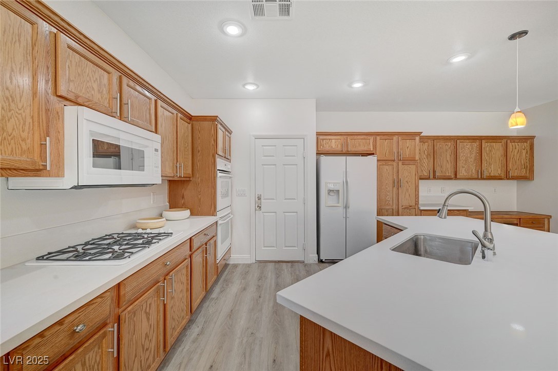 7605 Tiny Tortoise Street
