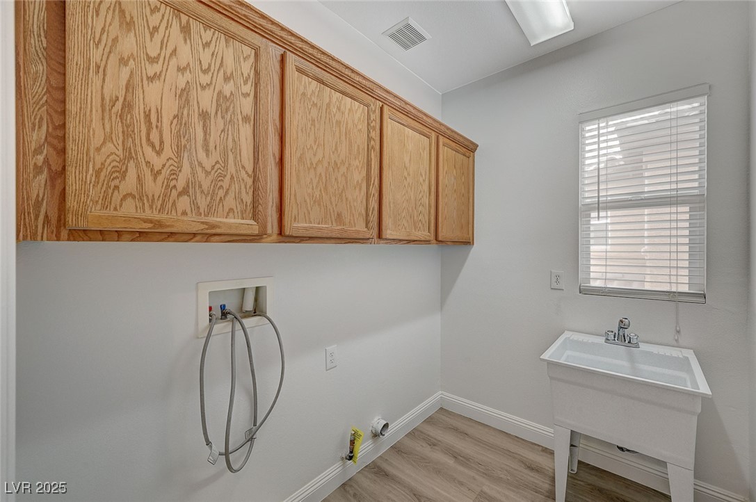 7605 Tiny Tortoise Street