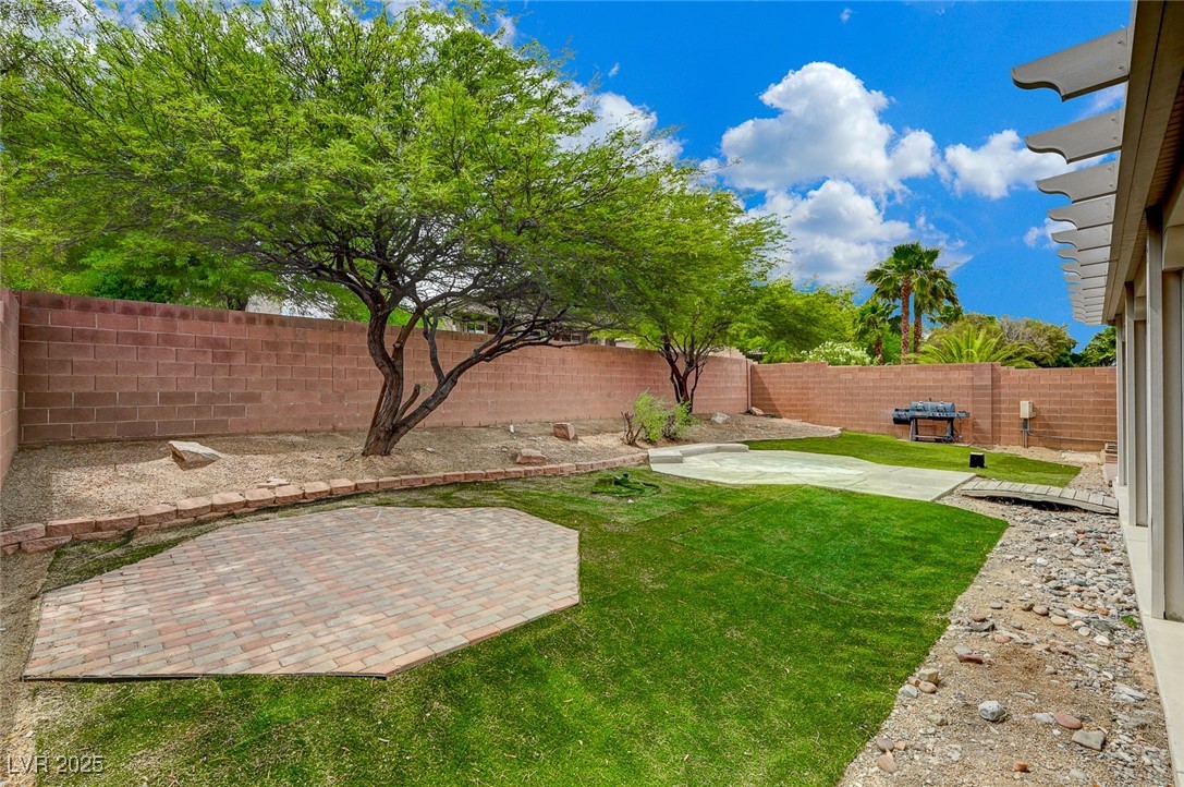 7605 Tiny Tortoise Street