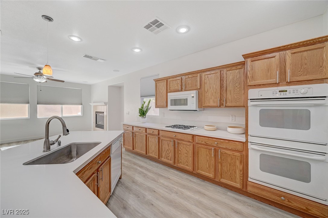 7605 Tiny Tortoise Street