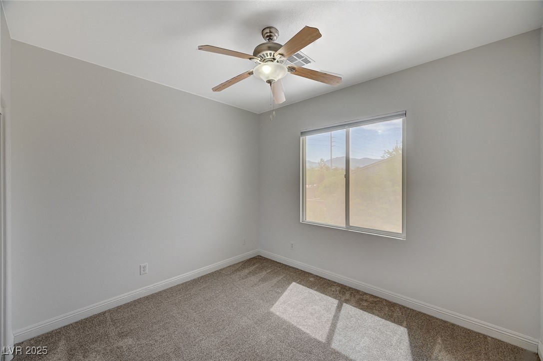 7605 Tiny Tortoise Street