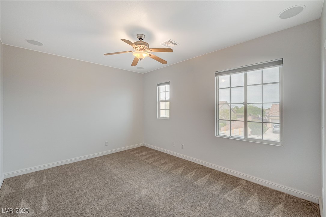 7605 Tiny Tortoise Street