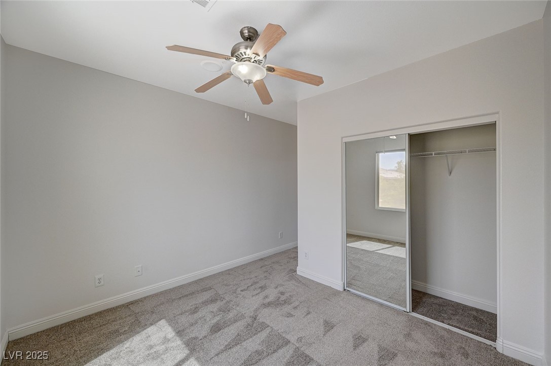 7605 Tiny Tortoise Street