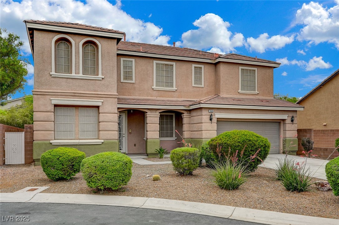 7605 Tiny Tortoise Street