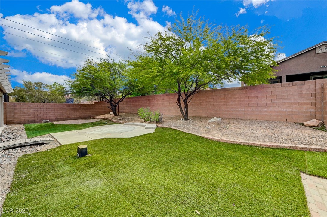 7605 Tiny Tortoise Street