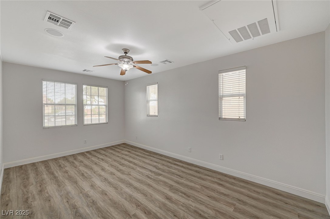 7605 Tiny Tortoise Street