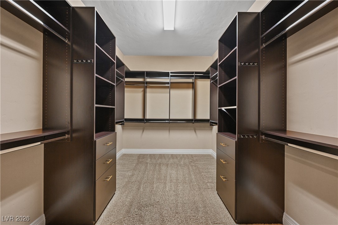 9747 Cathedral Pines Avenue