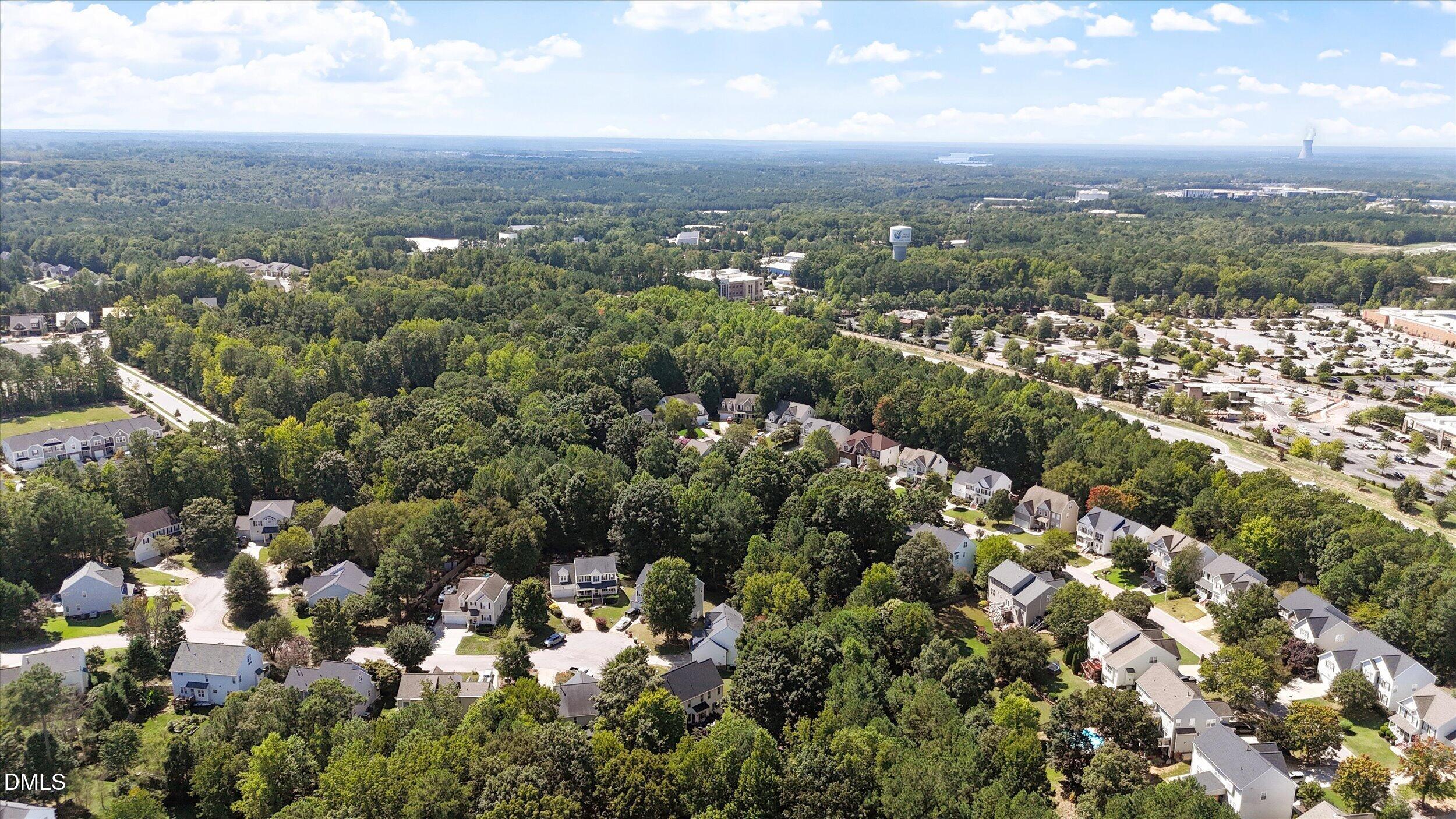 217 Ramshorn Court