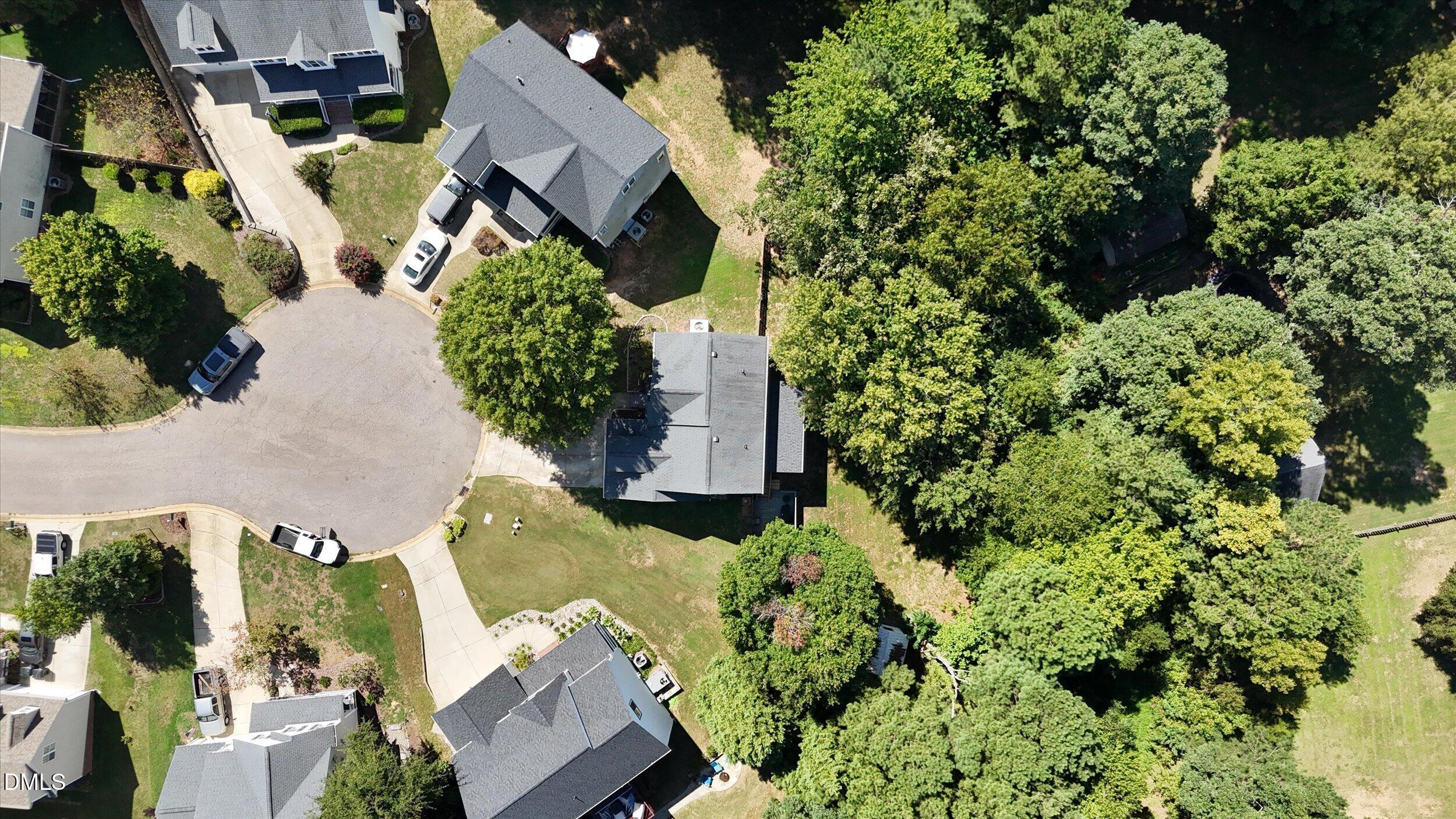 217 Ramshorn Court
