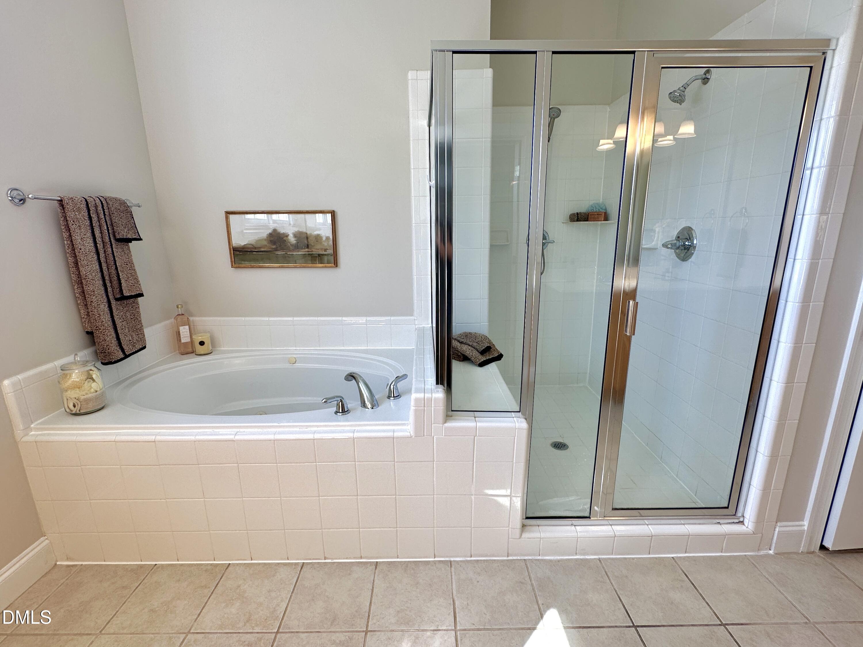 113 Hillspring Lane