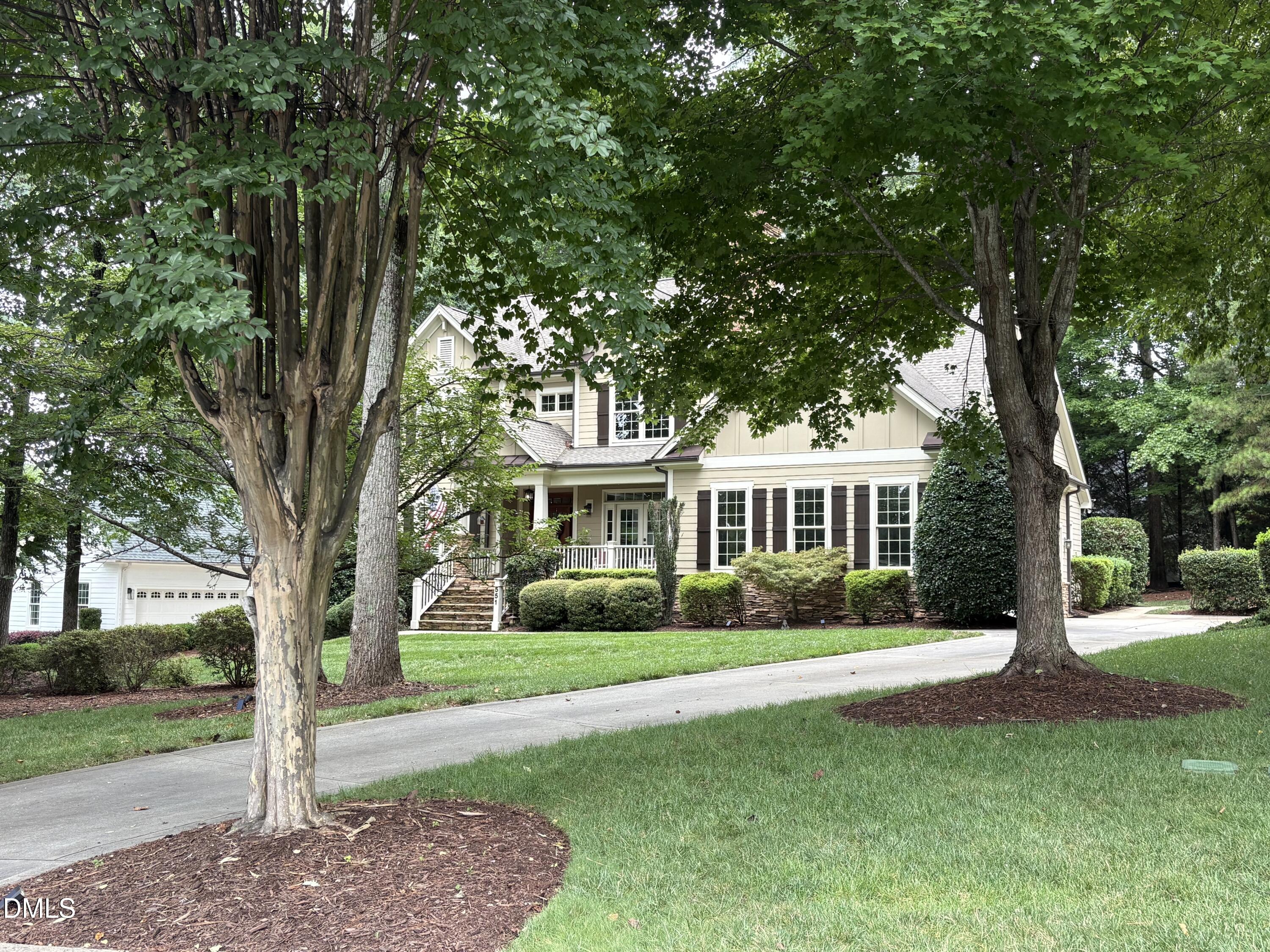 551 Mountain Laurel