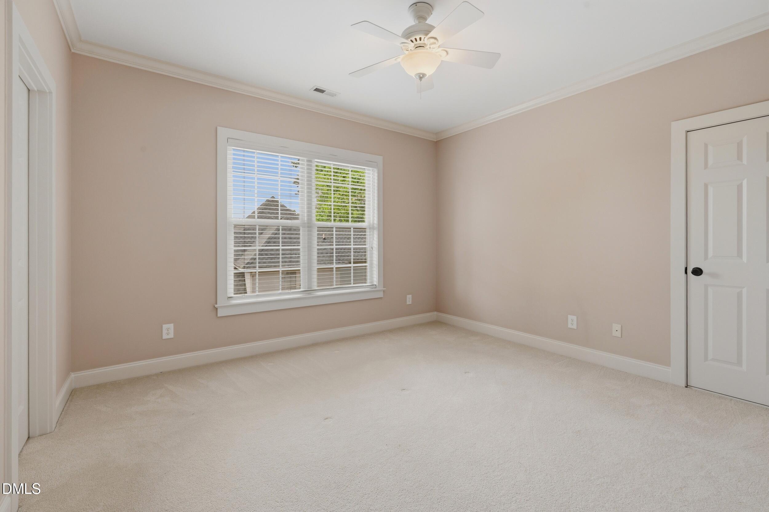 551 Mountain Laurel