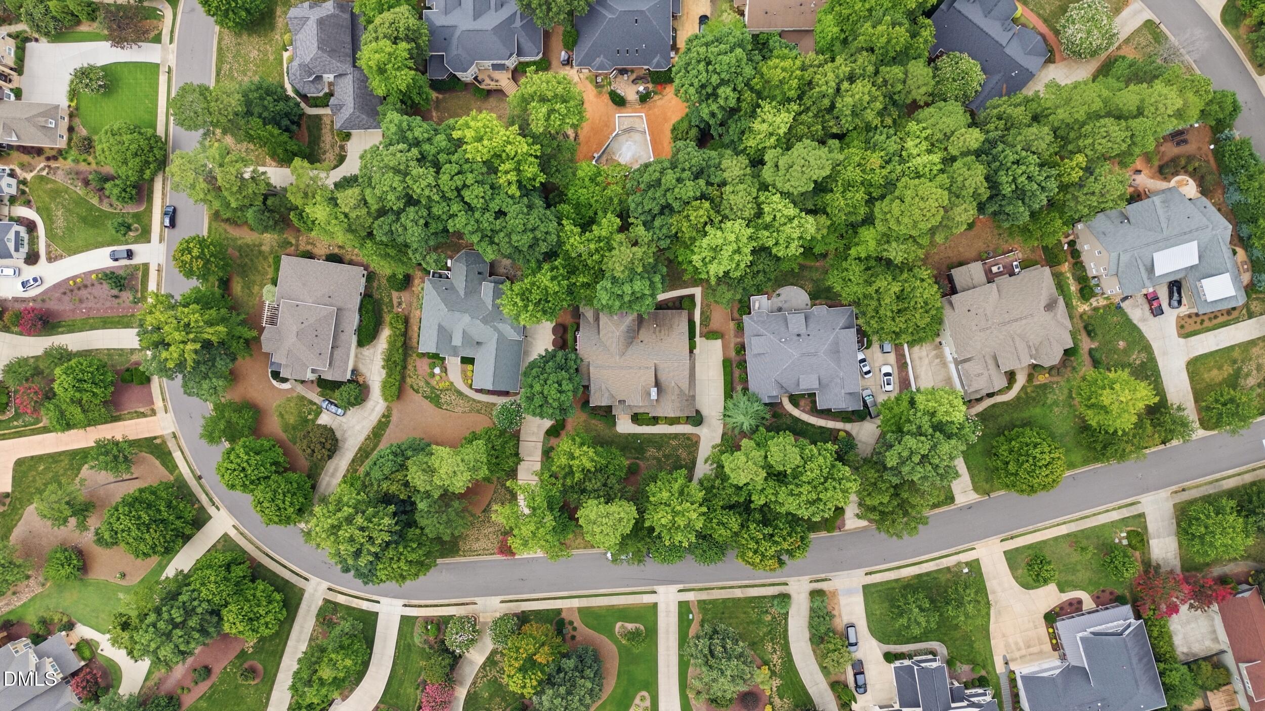 551 Mountain Laurel