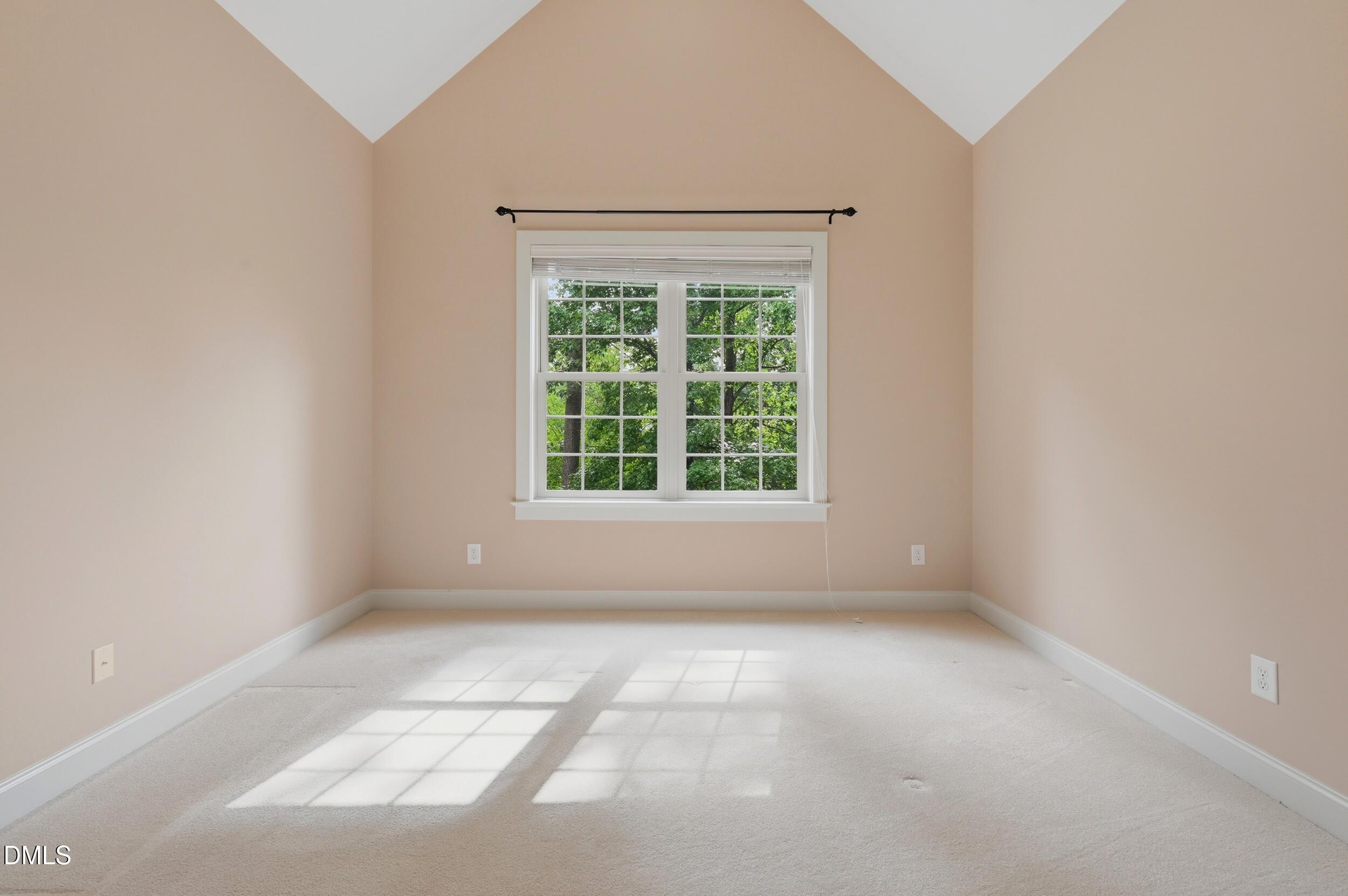 551 Mountain Laurel