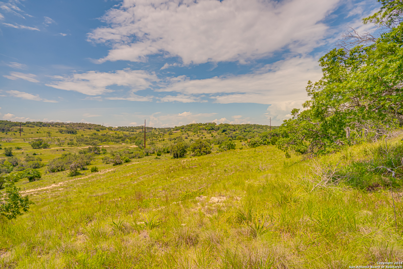 56 W Twisted Oak Drive
