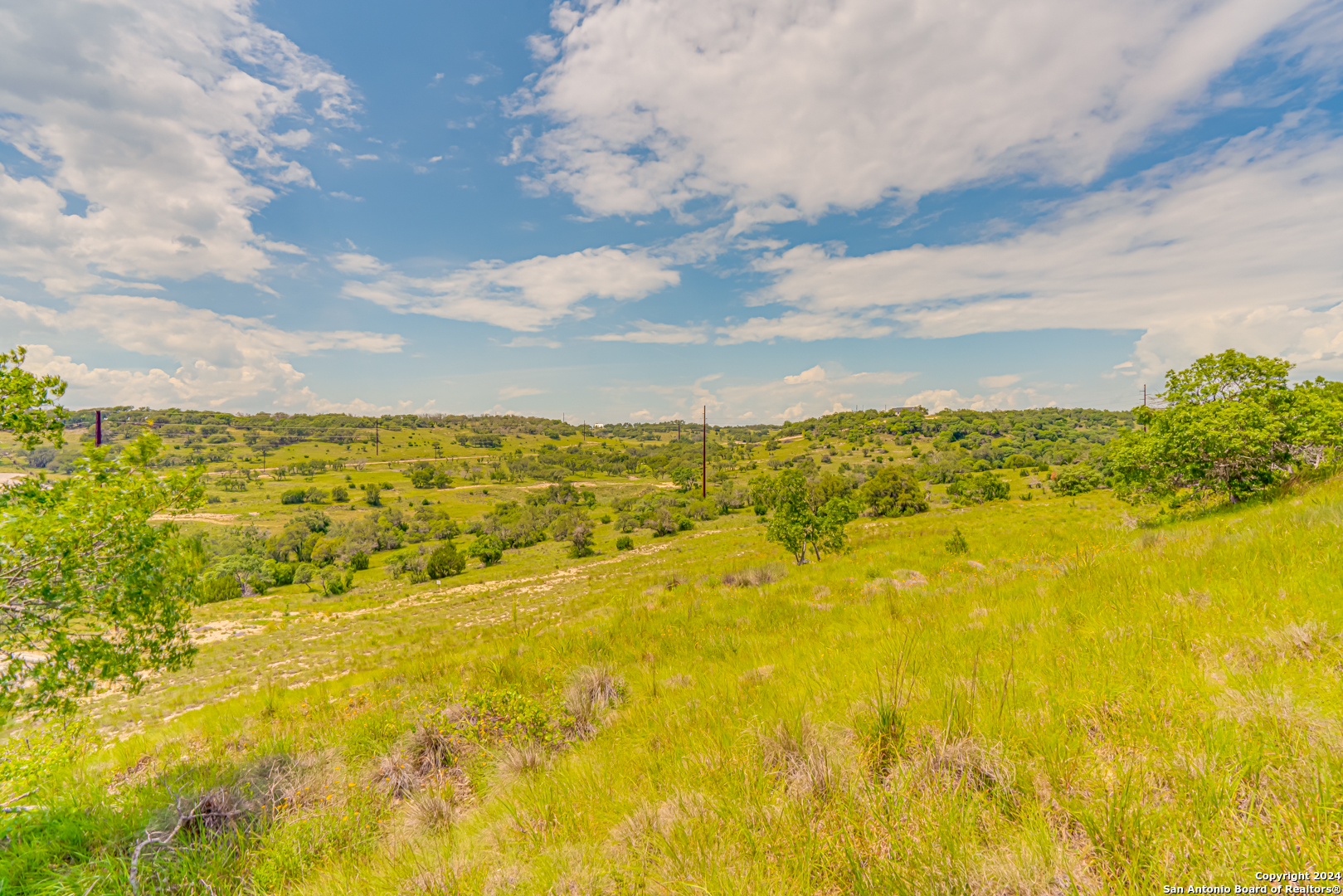 56 W Twisted Oak Drive
