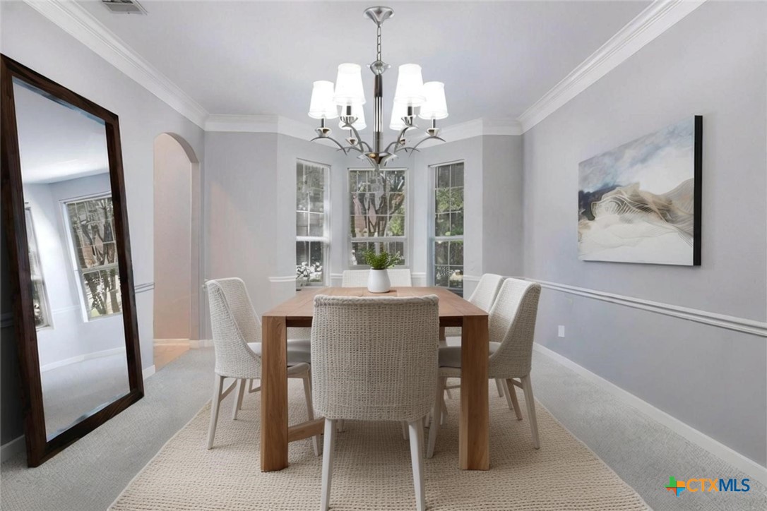 1635 Bold Cypress