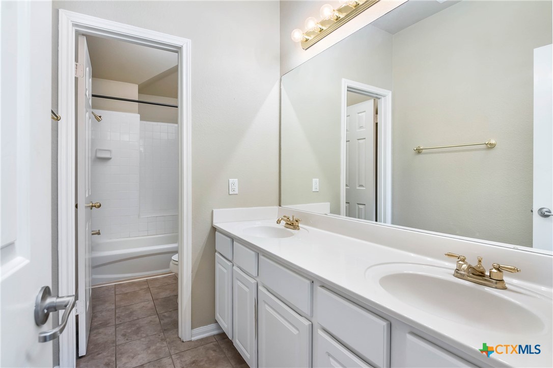 1635 Bold Cypress