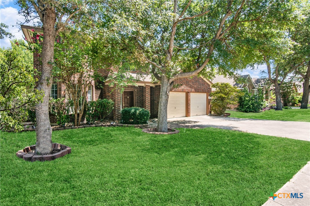 1635 Bold Cypress