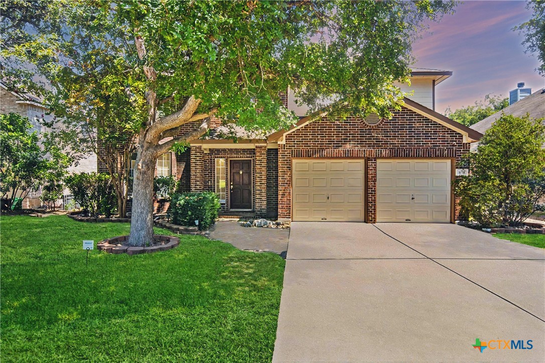 1635 Bold Cypress