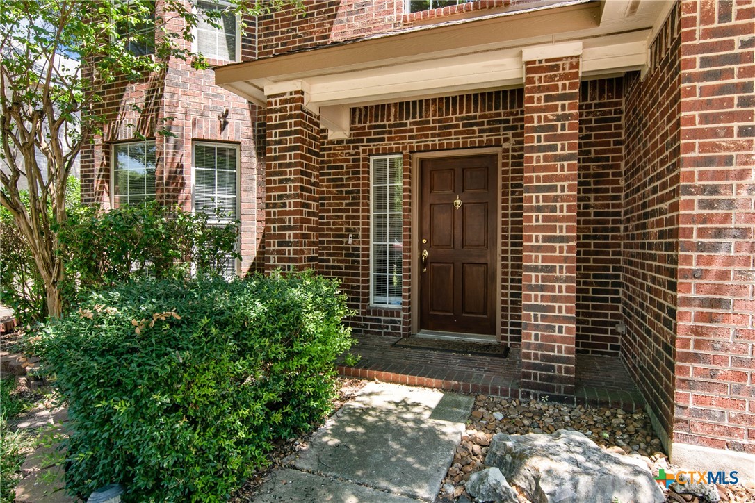1635 Bold Cypress