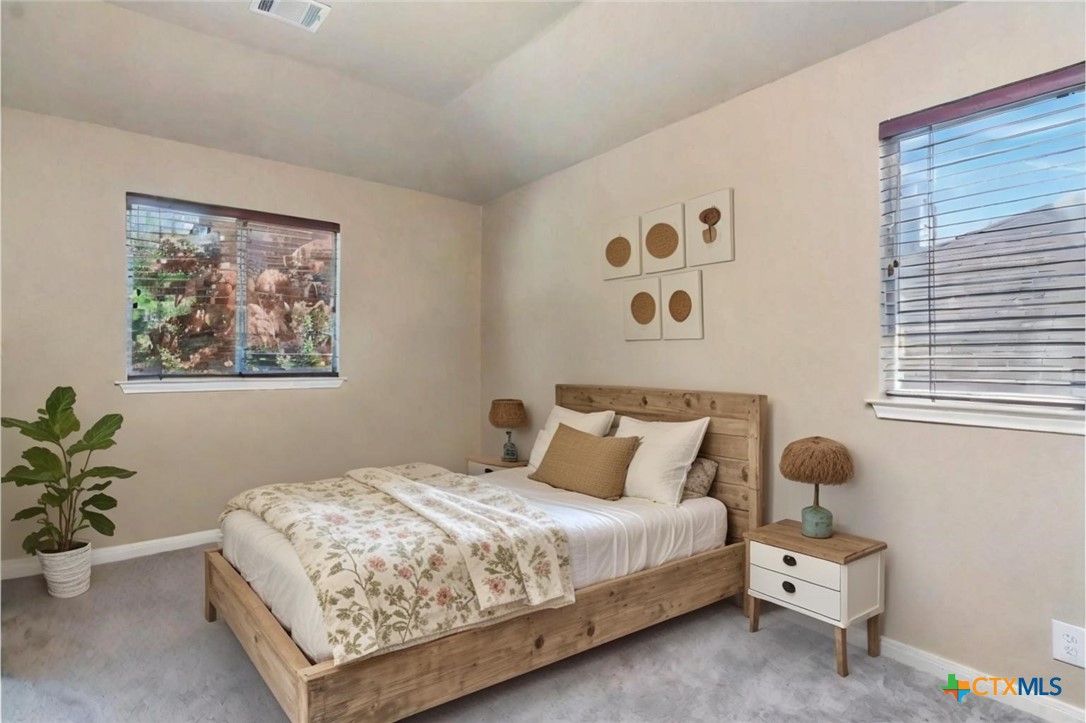 1635 Bold Cypress