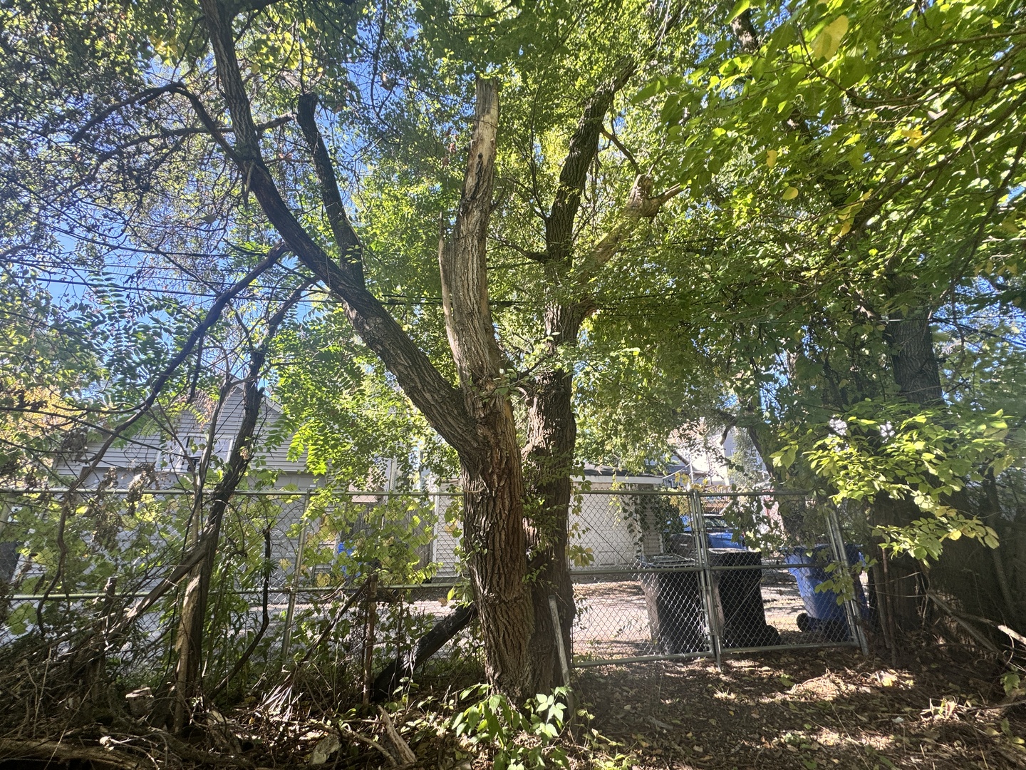 1812 N whipple Avenue