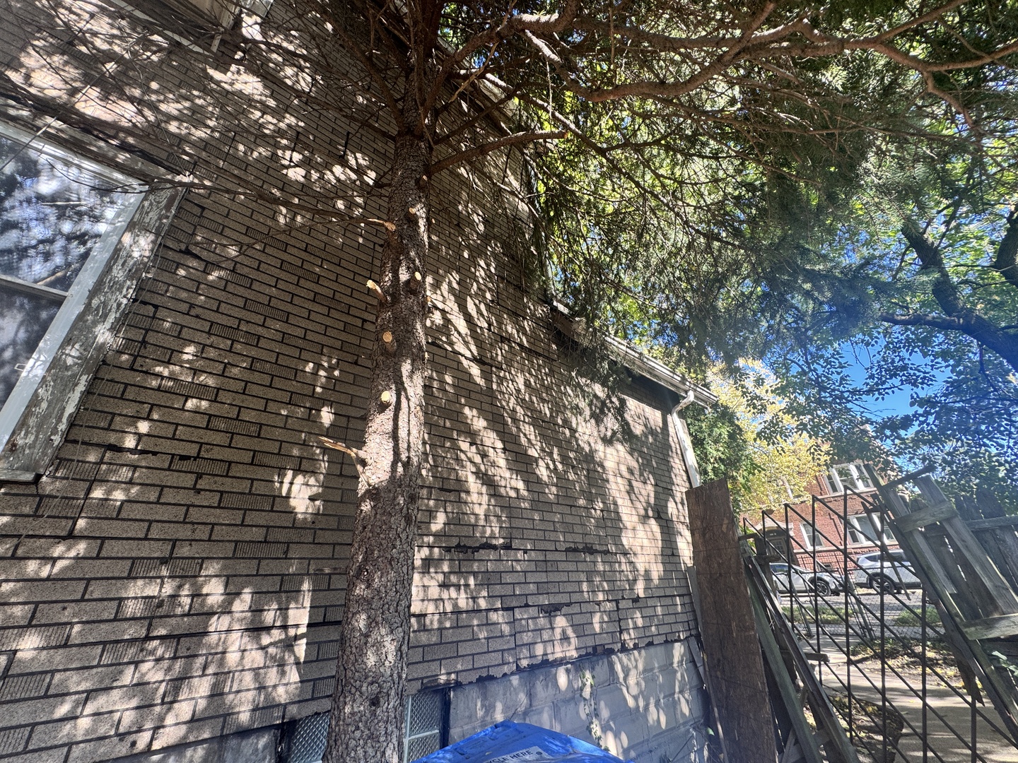 1812 N whipple Avenue