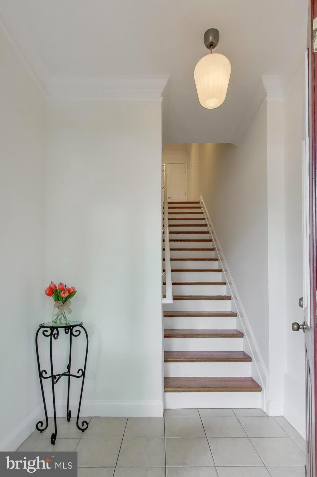 429 SHEPHERD STREET NW 1