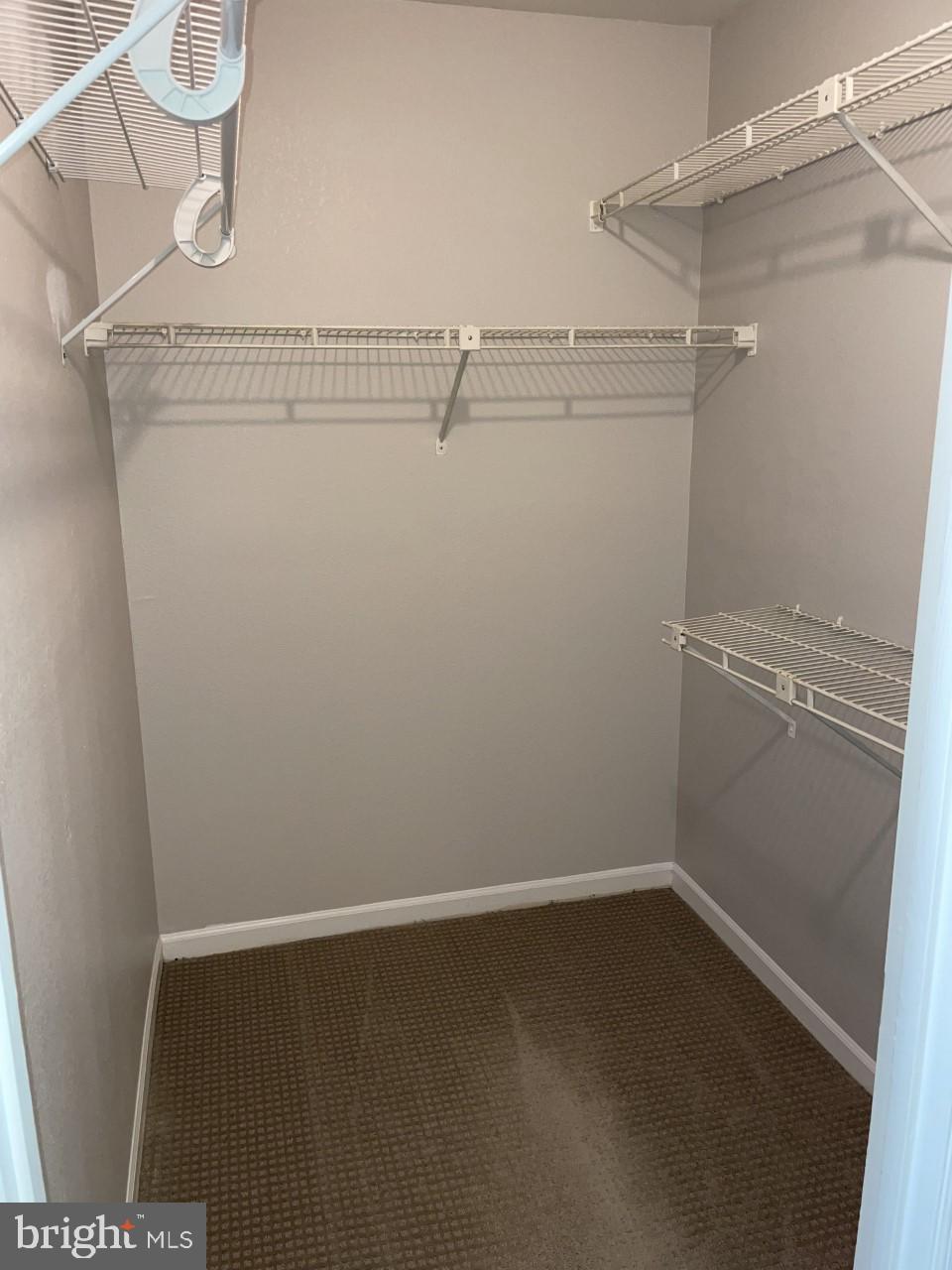 10707 Hampton Mill Ter #200