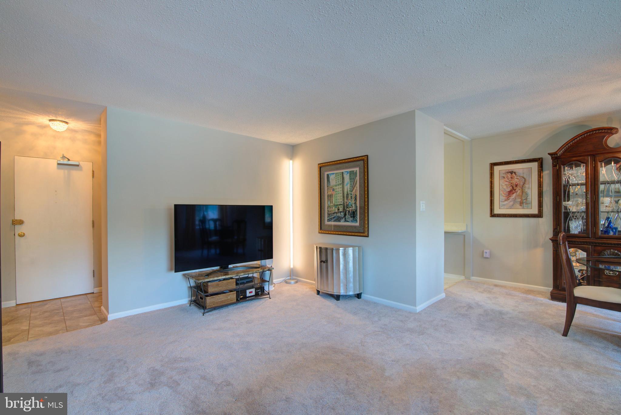 3000 SPOUT RUN PKWY PARKWAY A303