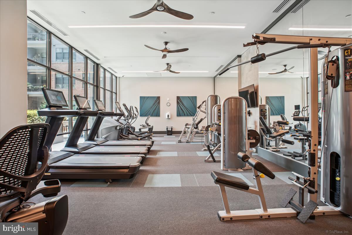 1761 OLD MEADOW ROAD 412