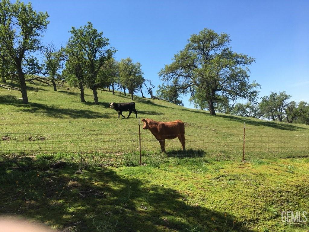 3001 Woody Granite Road