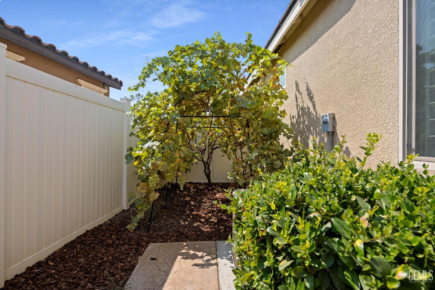 14016 Pemberley Passage Avenue