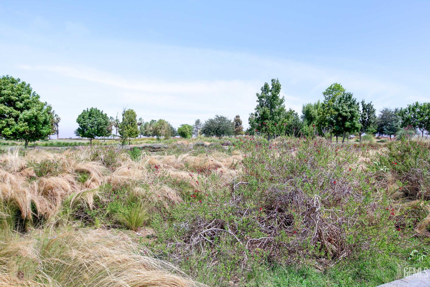 1321 Panorama Drive