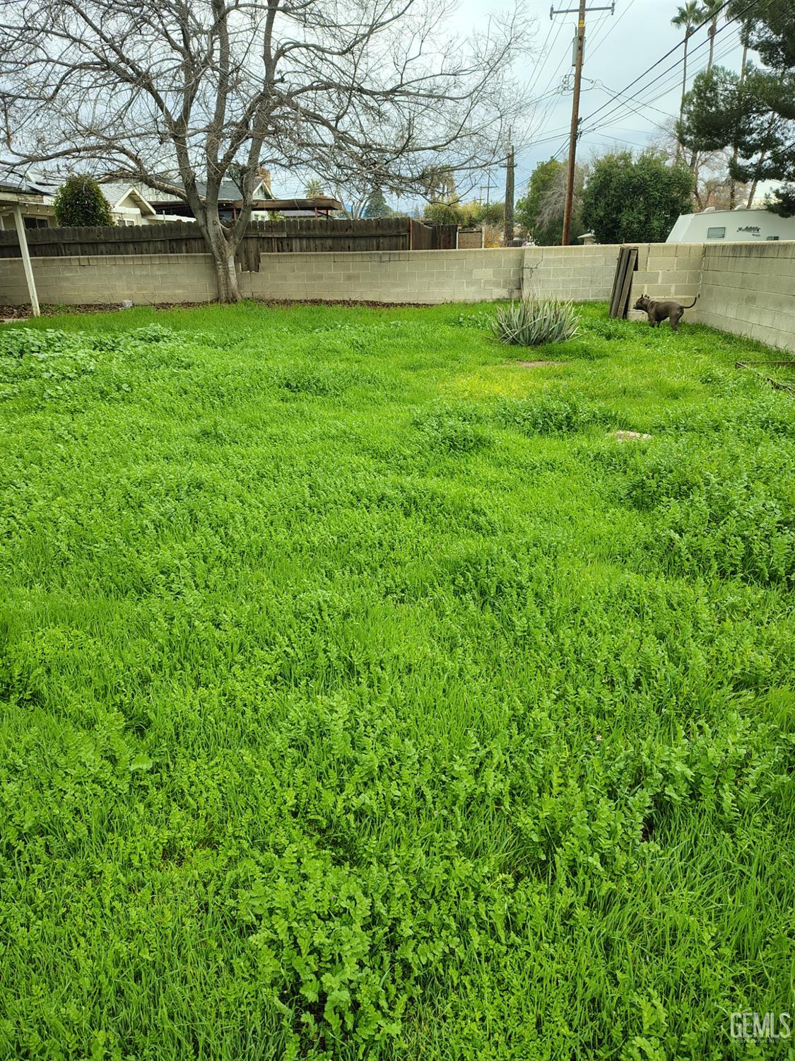 1801 University Avenue