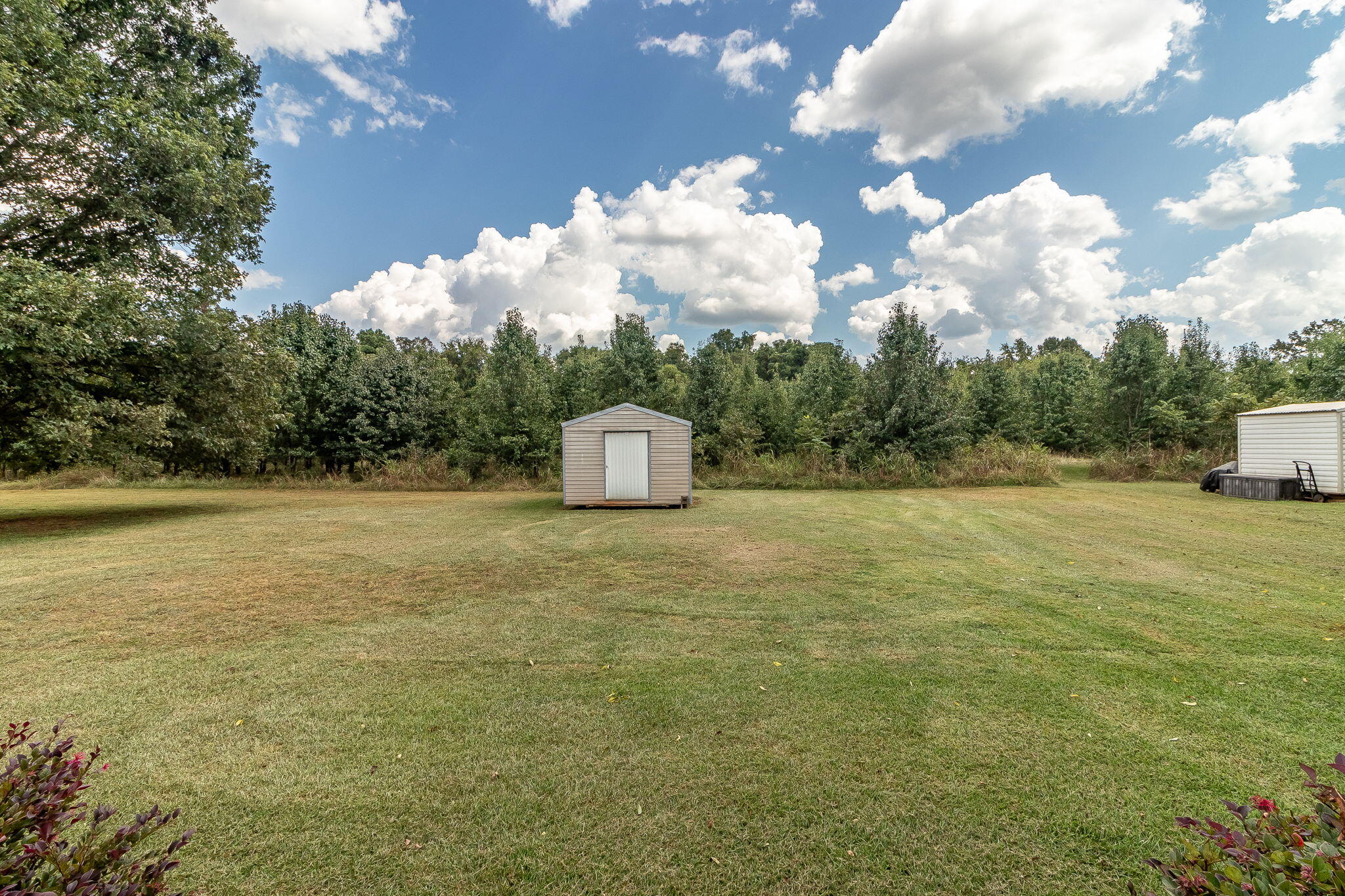 229 Seven Oaks Drive