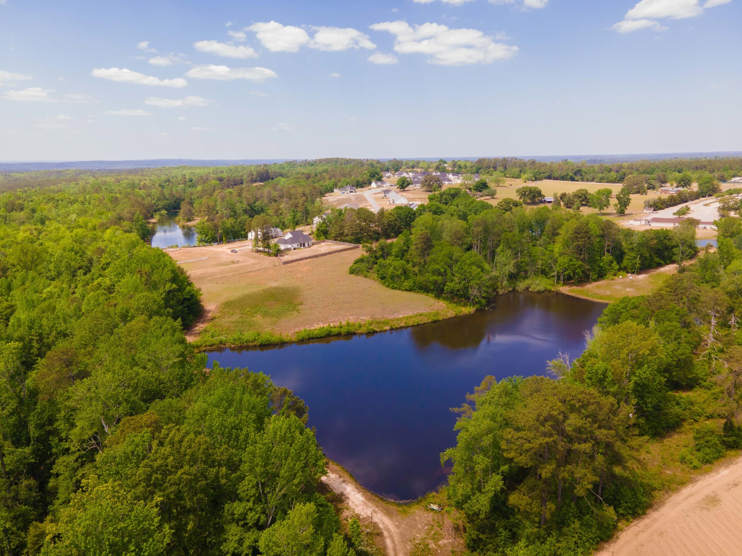 598 Annison Pointe Court