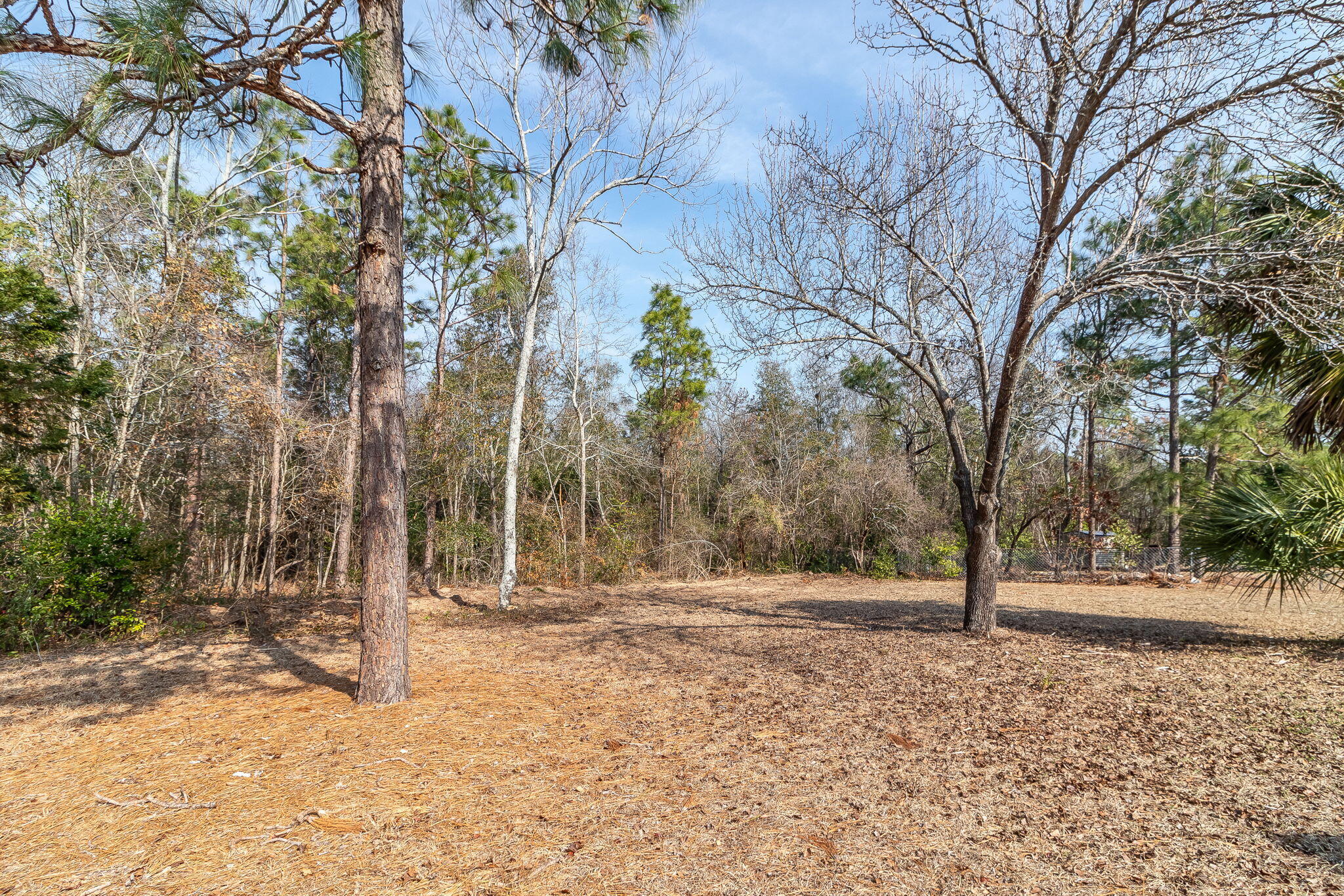 633 Ridgefield Drive