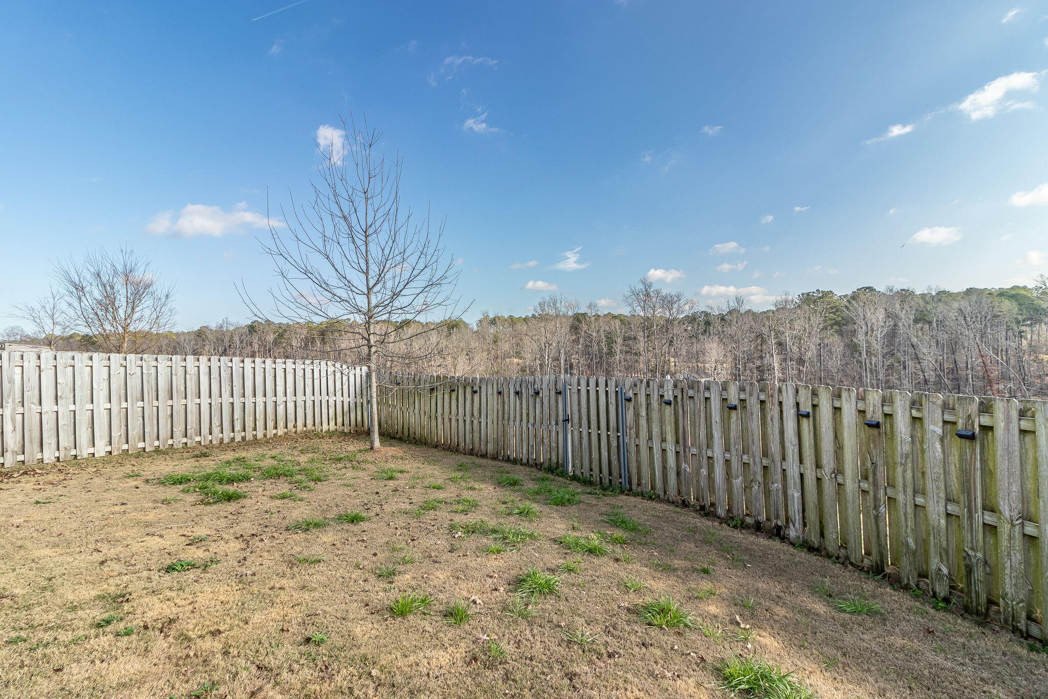 115 Dublin Loop